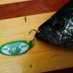 article image - 0531 fish lure